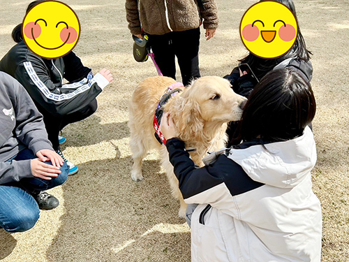画像の説明